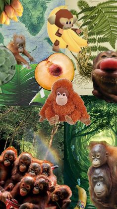 collage of monkeys, bananas and other things