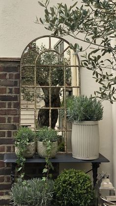 a mirror sitting on top of a table next to potted plants