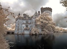 the castle is surrounded by water and trees with white flowers on it's roof