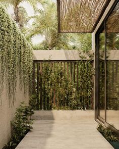 an outdoor area with plants, trees and a wooden walkway leading to a covered patio