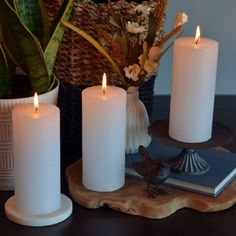 three white candles sitting on top of a wooden tray next to a potted plant