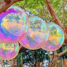 three shiny balls are hanging from a tree