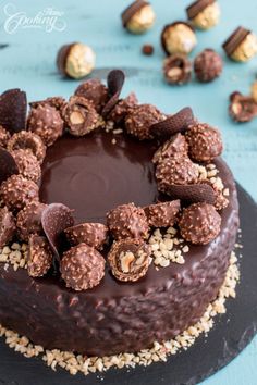 a chocolate cake on a plate with nuts around it