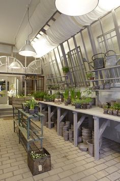 an indoor greenhouse with many potted plants and pots on the tables in front of them