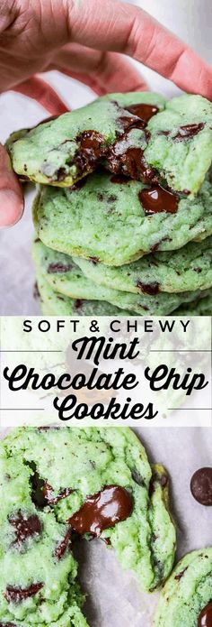 soft and chewy mint chocolate chip cookies