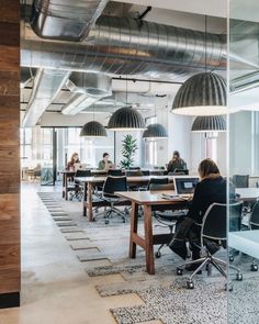 an office with people working on their laptops