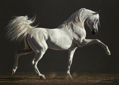 a white horse is galloping in the dark with it's hair blowing back