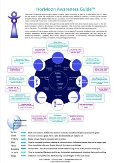 Hormone Cycle, Monthly Cycle, Witch Life, Human Physiology, Moon Circle, Womb Healing, Female Health