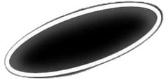 an oval black and white logo with the word