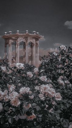 some white flowers bushes and a building in the backround with clouds behind it