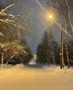 a snow covered road with trees and street lights