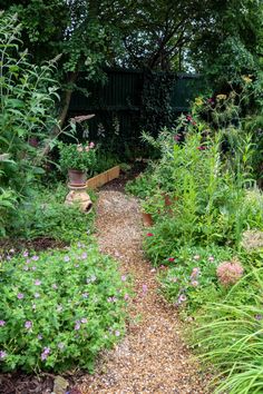 a garden filled with lots of plants and flowers