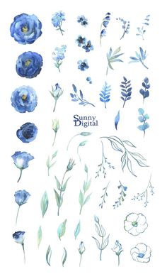 blue flowers and leaves are arranged on a white background with the words summer digital above them