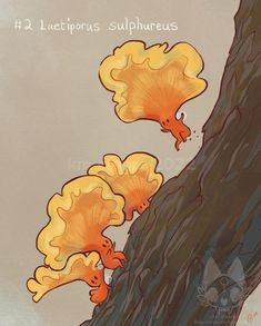 three yellow mushrooms climbing up the side of a large tree trunk with their heads in the air