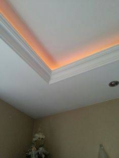 a room with a ceiling light that is on and has flowers in the corner next to it