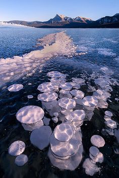 there are many ice floes floating on the water near some mountains in the distance