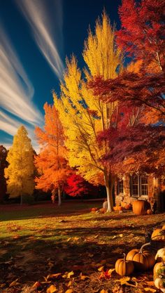 fall foliage and trees in front of a house