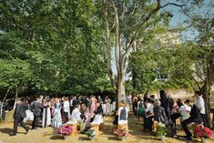 a large group of people standing around a tree