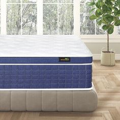 an image of a blue mattress in the middle of a room with wood flooring