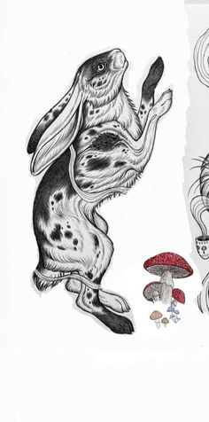 an ink drawing of a rabbit and mushrooms