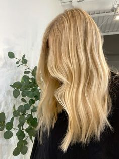 Yellow Blonde Hair Highlights, Natural Bleach Blonde Hair, Rooted Honey Blonde Hair, Golden Blonde Hair Straight, Honey Butter Blonde Hair, Natural Golden Blonde Hair, Short Warm Blonde Hair, Golden Blonde Hair With Highlights, Blonde Natural Curly Hair