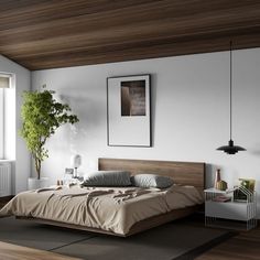 a bedroom with a bed, nightstands and potted plant on the wall next to it