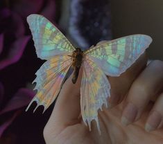 a small butterfly sitting on top of someone's hand