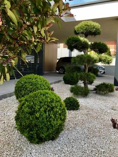 some bushes and trees in front of a building