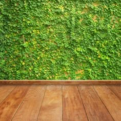 an empty room with wooden floors and a green wall in the background, as well as a wood floor