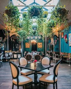 an indoor dining area with tables and chairs, plants hanging from the ceiling over them