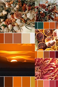 several different color palettes with flowers and sunset in the backgroung area