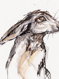 a drawing of a brown and white rabbit