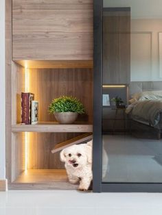 a dog is peeking out from behind a book shelf