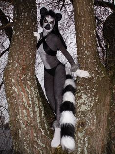 a person dressed as a raccoon climbing up a tree in a costume that looks like it's from the movie madagascar