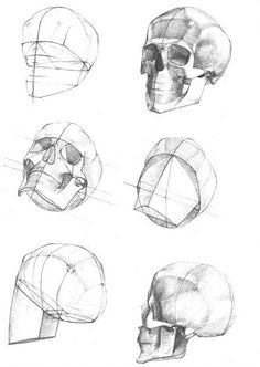 four different views of the human head