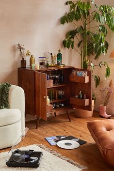 a living room filled with furniture and a potted plant