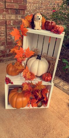 a white shelf filled with pumpkins and gourds next to a brick wall