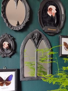 there are many mirrors on the wall with pictures and plants in front of them,