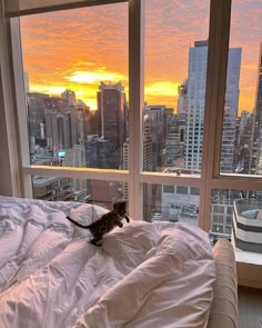 a cat sitting on top of a bed in front of a window overlooking a city