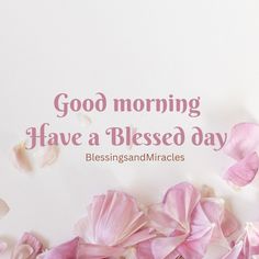 some pink flowers on a white background with the words good morning have a blessed day