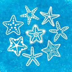 starfish and sea stars on blue watercolor background royalty illustration