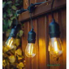 three light bulbs hanging from a wooden fence