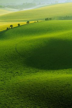 green rolling hills with trees in the distance