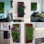 four pictures of living walls in different rooms with plants on the wall and below them