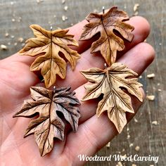 three different types of leaves in someone's hand