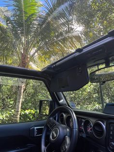 the interior of a car with palm trees in the background