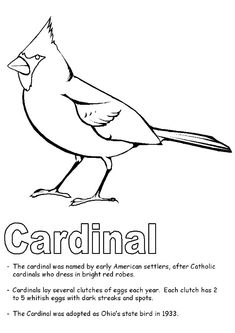 a bird with the words cardinalnal on it's back and an image of another bird