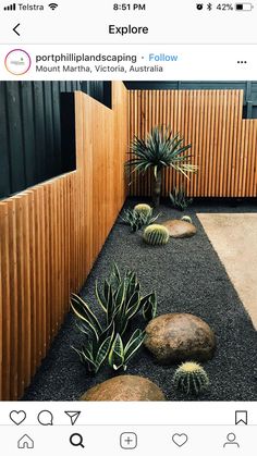 a screen shot of an instagram page with plants and rocks