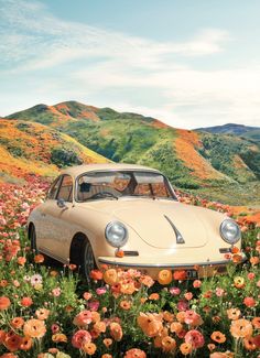 an old car is parked in the middle of a field of flowers with mountains in the background