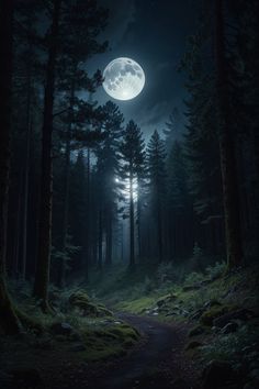 a dark forest at night with the moon in the sky